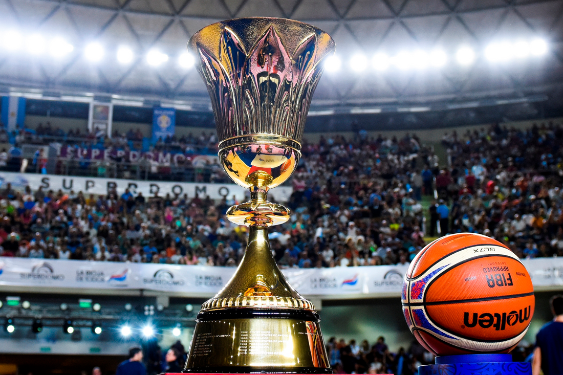 What is the FIBA world cup pro connect official